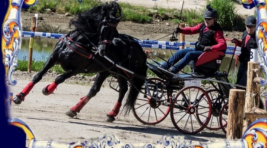 XXXVII Campeonato de España de enganche- 26 al 28 de Mayo de 2017 - Hotel Rural El Camino XXXVII Campeonato de España de enganche- 26 al 28 de Mayo de 2017 - Hotel Rural El Camino