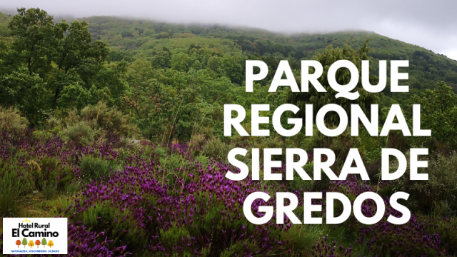 Parque Regional Sierra de Gredos