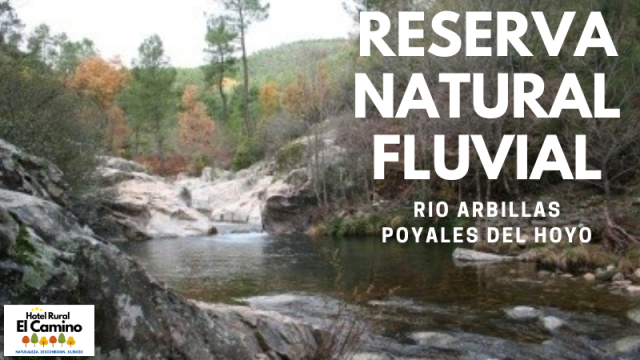 Reserva Natural Fluvial Poyales del hoyo