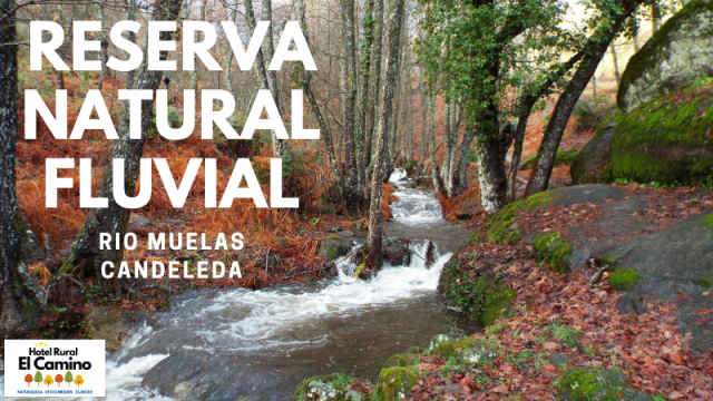 Reserva Natural Fluvial del Río Muelas.