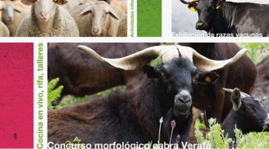 I Feria agroalimentaria Candeleda (29 Abril al 1 de Mayo 2017) - Hotel Rural El Camino I Feria agroalimentaria Candeleda (29 Abril al 1 de Mayo 2017) - Hotel Rural El Camino