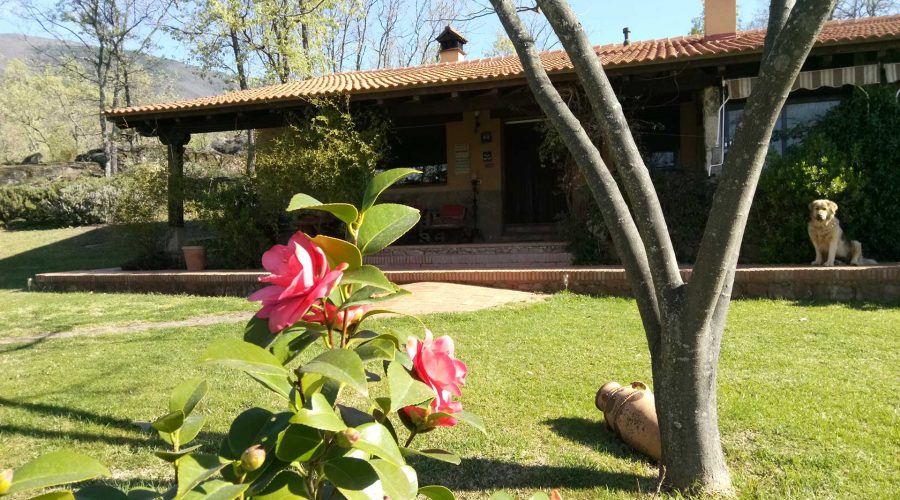 Primavera en Candeleda - Hotel Rural El Camino